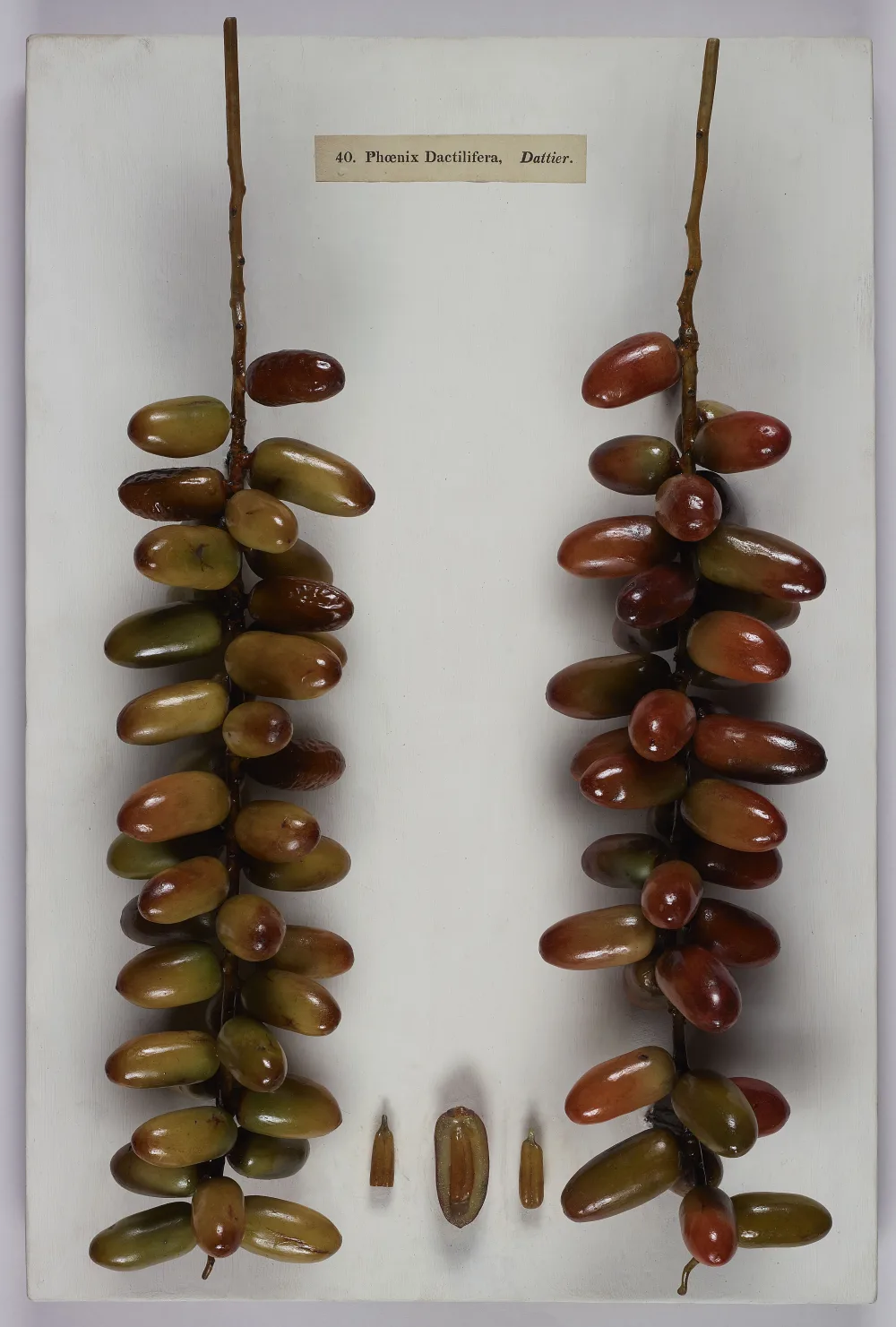 7 Cheapest Date Varieties per Kg in 2026: A Price Table from Lowest Up