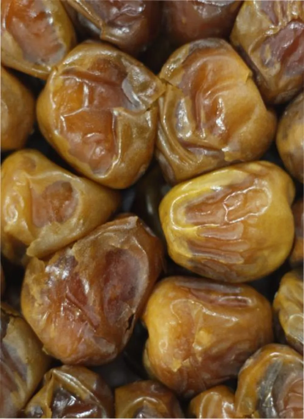 Kurma Sukari Al-Qassim Grade A/AA/AAA